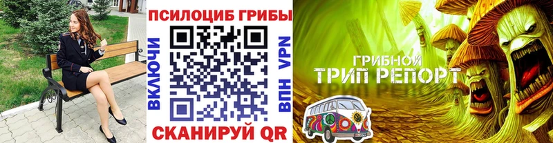 Псилоцибиновые грибы GOLDEN TEACHER  Западная Двина 